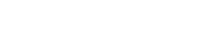 The Pro Accountants Logo